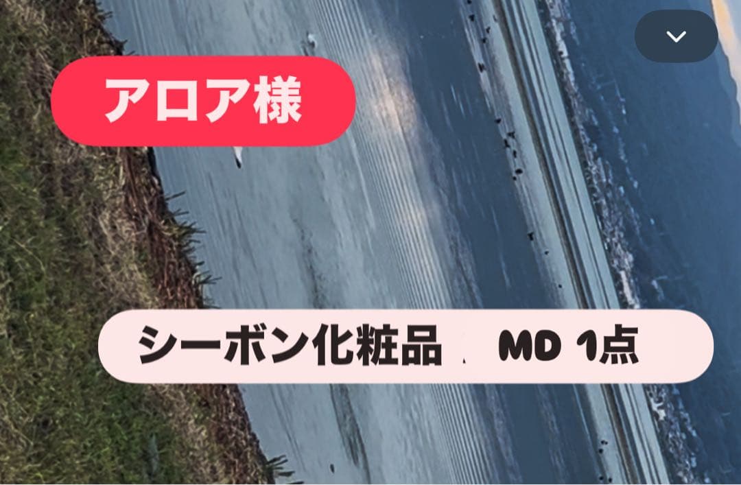 アロア シーボンMD 1点