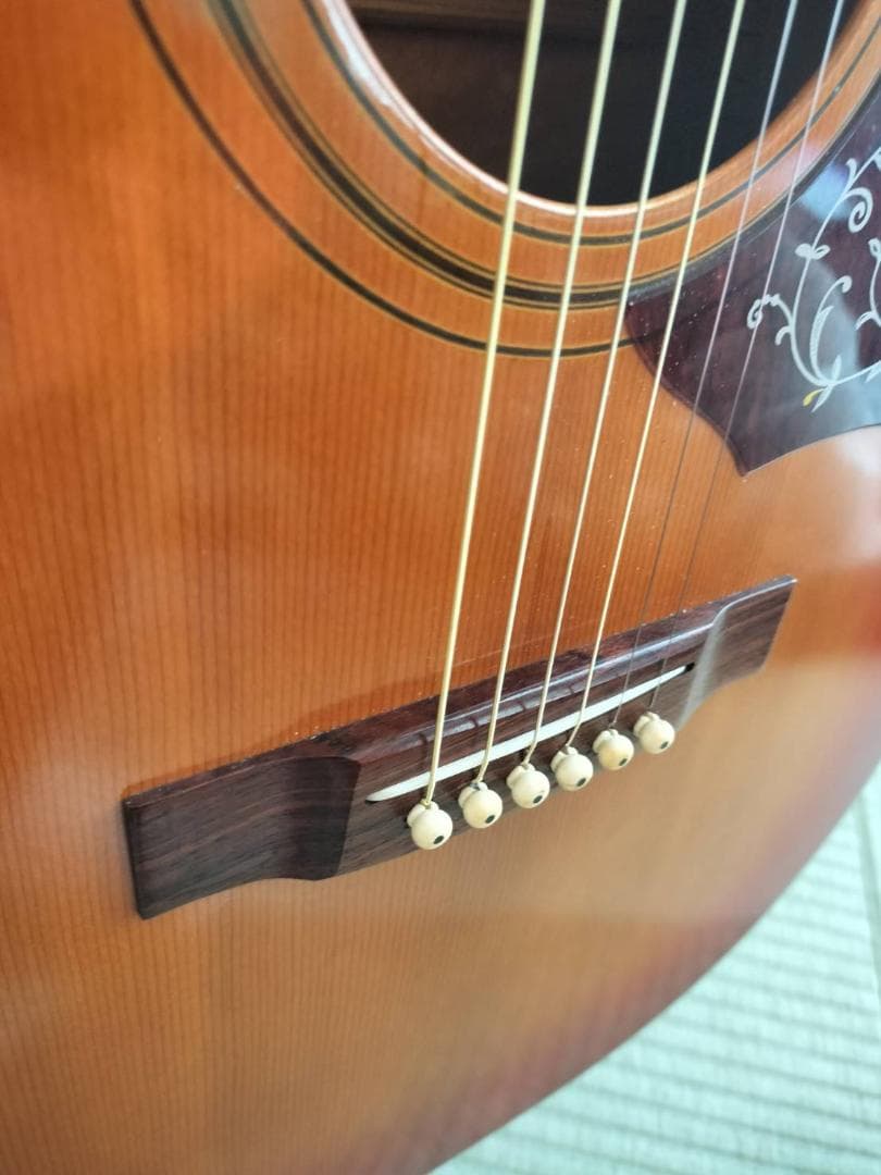 ZEN-ON Roje 170S ハミングバード 70s ジャパンビンテージ