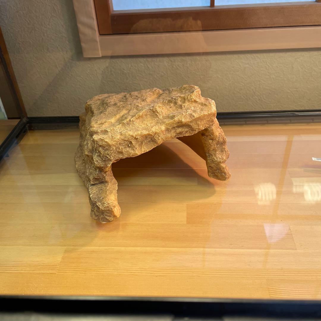 knskさん専用 グラステラリウムは、付属されません。 爬虫類ライト等　一式