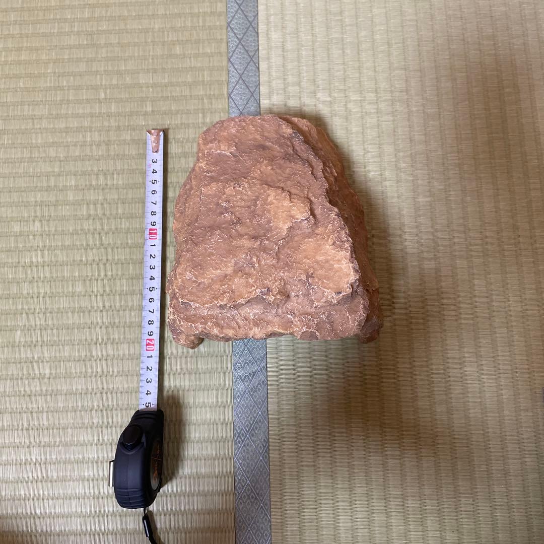 knskさん専用 グラステラリウムは、付属されません。 爬虫類ライト等　一式