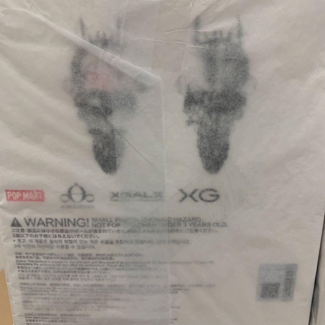 SKULLPANDA XG スカルパンダ　2個セット　ポップマート　xg