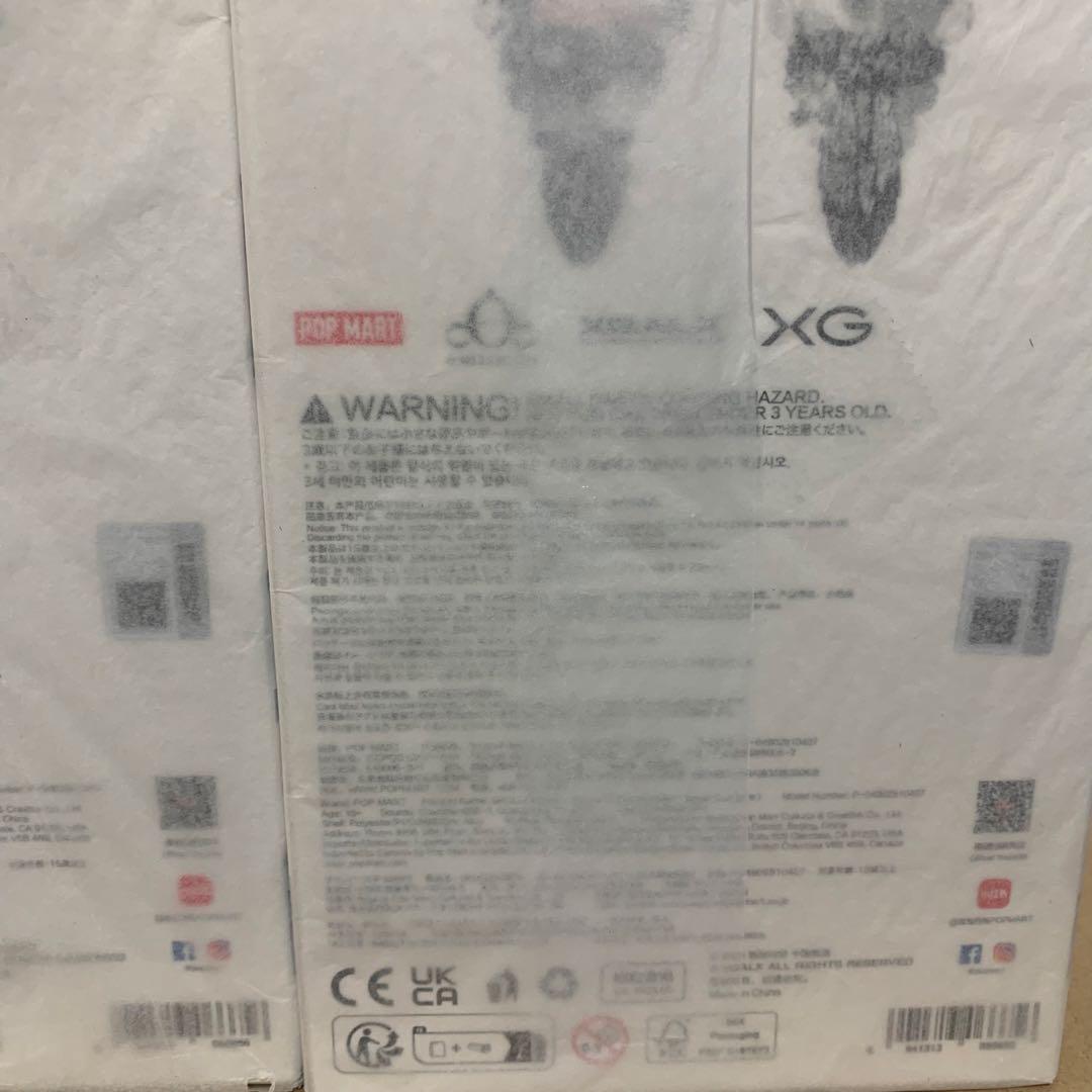 SKULLPANDA XG スカルパンダ　2個セット　ポップマート　xg