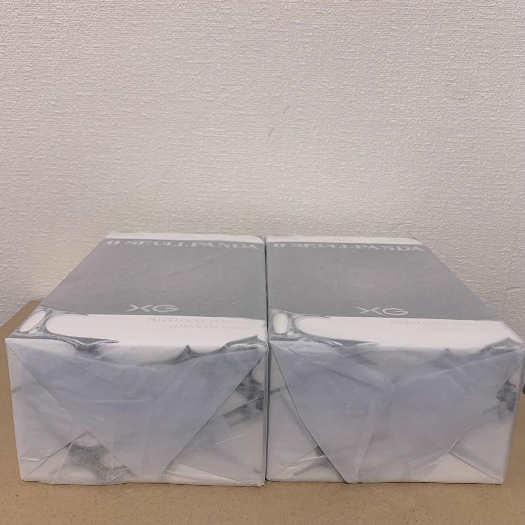 SKULLPANDA XG スカルパンダ　2個セット　ポップマート　xg