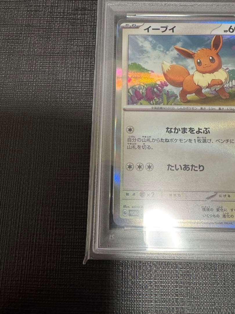 【PSA10】 デッキそのままバトル　イーブイゲットだぜ　プロモ