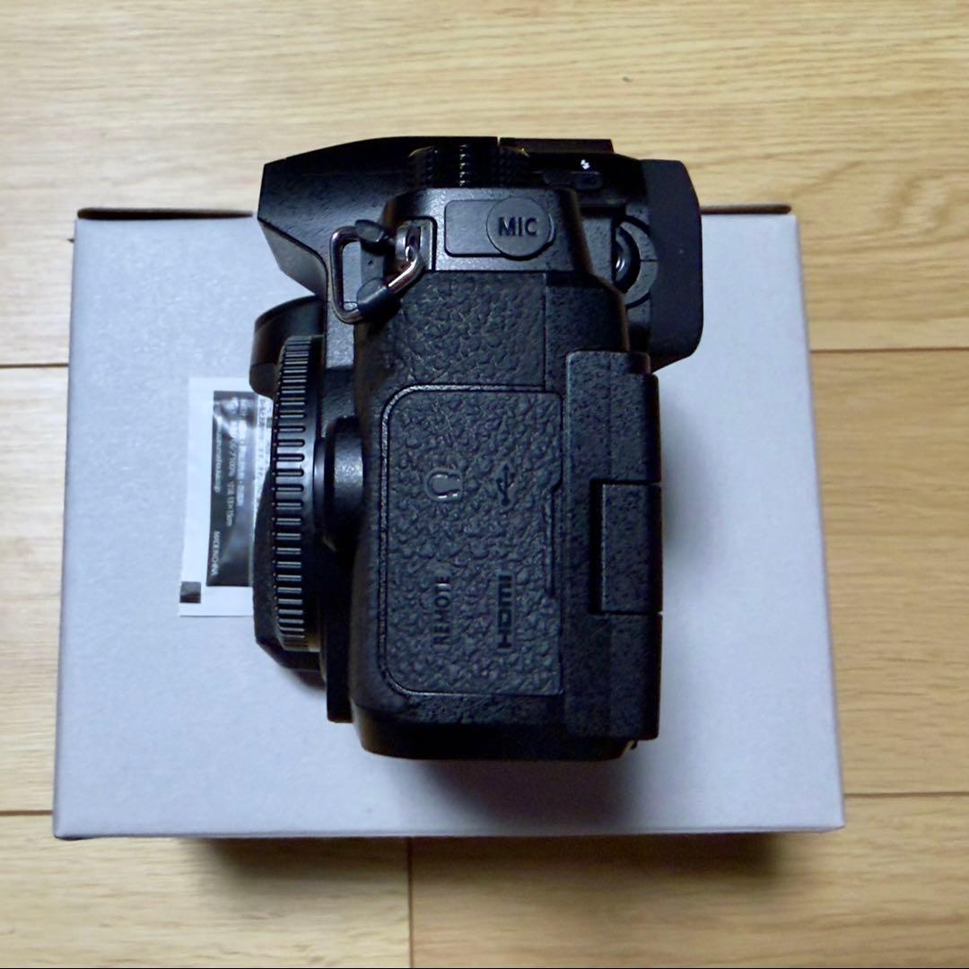 パナソニック LIMIX G99M2 ボディ ブラック DC-G99M2