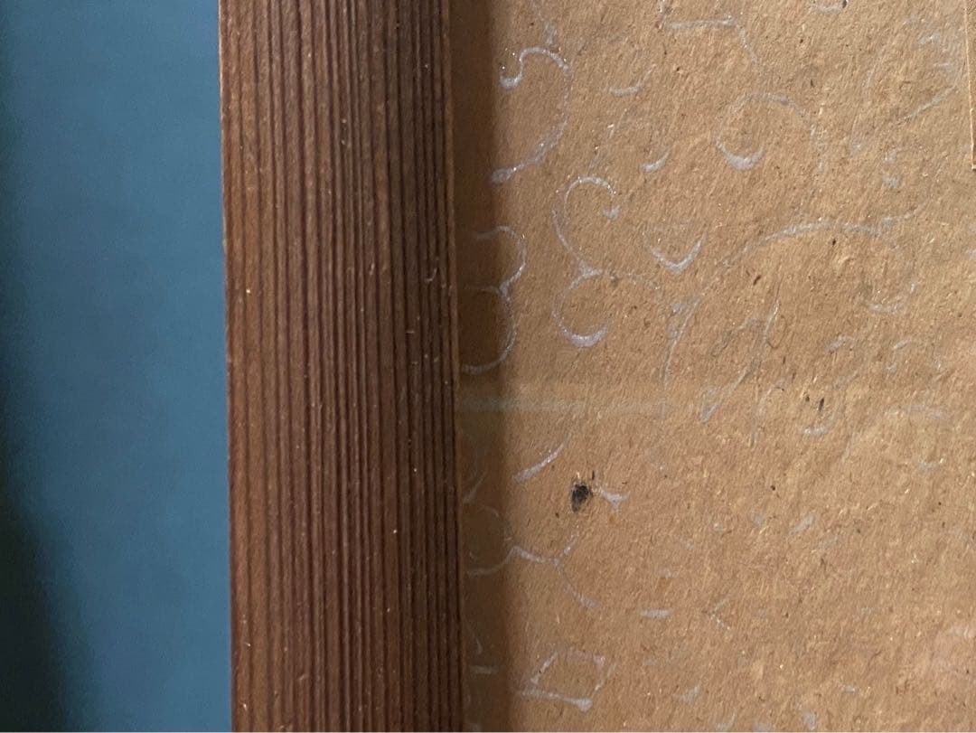 風前美人図 懐月堂安度 江戸期 当時物 希少 インテリア 額縁