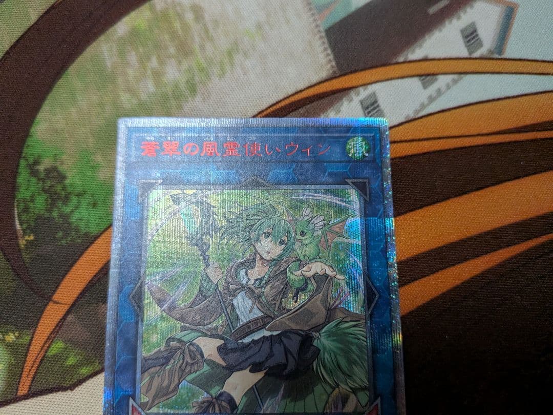 P*B様 遊戯王　蒼翠の風霊使いウィン　20th
