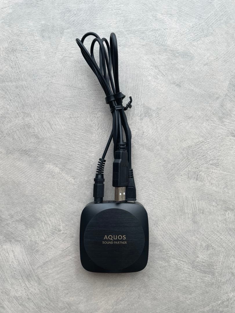 【美品】SHARP AN-SS2 サウンドパートナー ネックスピーカー 白