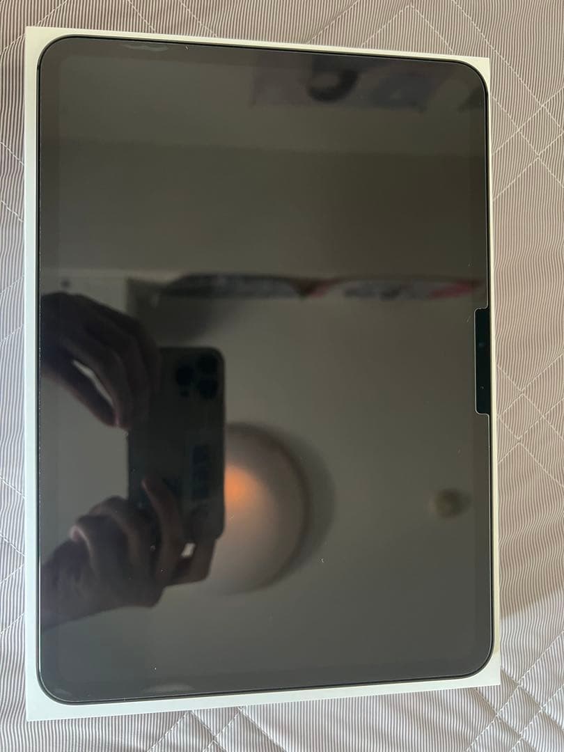 iPad Pro11 インチ第5世代（最新）M4 Wi-Fi 256GB