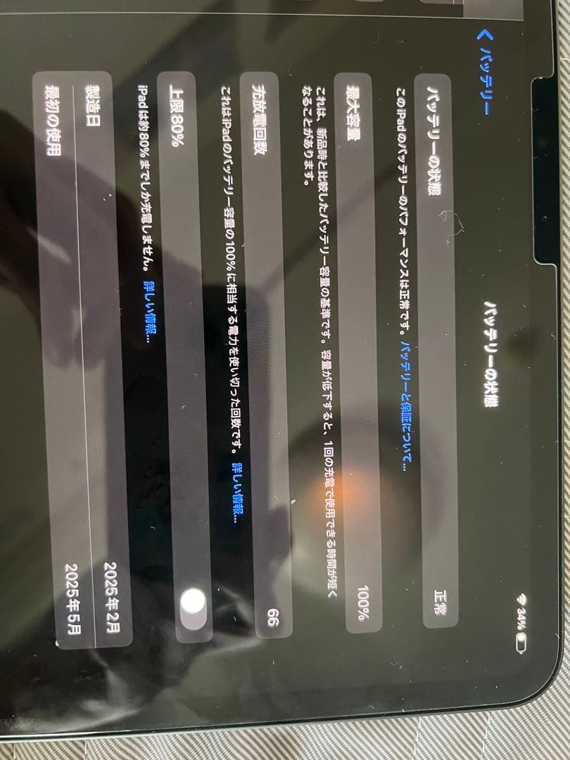 iPad Pro11 インチ第5世代（最新）M4 Wi-Fi 256GB