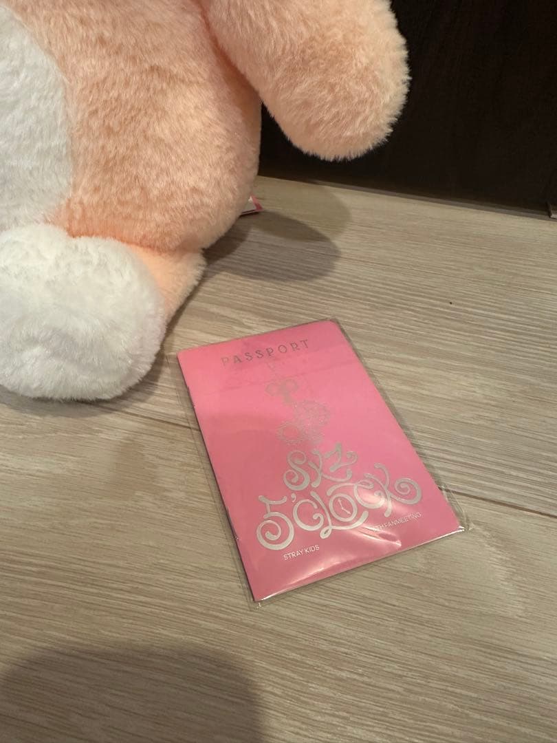 林*奨様 SKZOOぬいぐるみ teddybear パピーム　スンミン　60cm