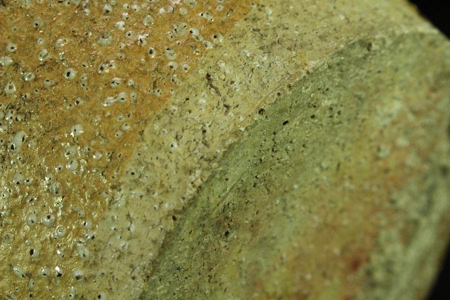 古い 信楽 茶壷 六古窯(K-XA846)