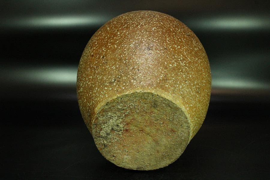 古い 信楽 茶壷 六古窯(K-XA846)