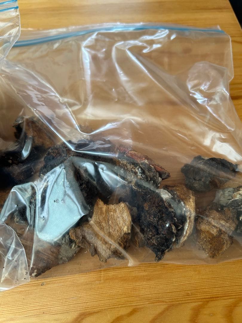 カバノアナタケ　北海道　道東産　1.5k