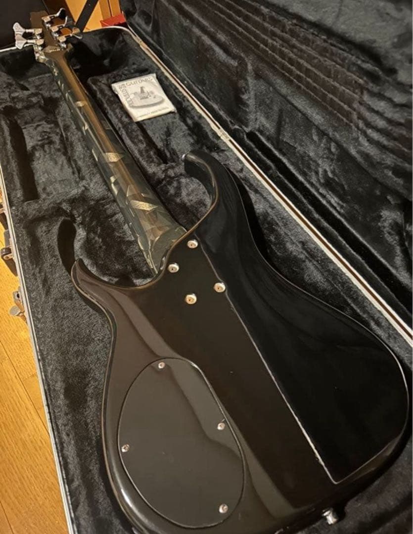 Modulus Quantom5 五弦ベース