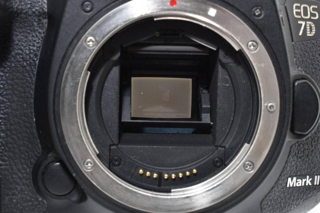 ★良品★ キヤノン CANON EOS 7D Mark II