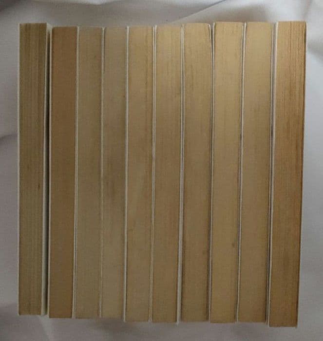 パンクポンク 10冊セット たちいりハルコ　小学館