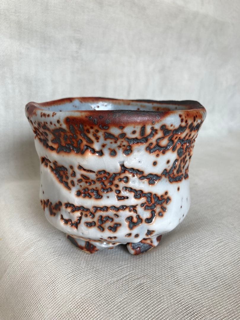 木戸貞昭／赤志野茶碗／B15