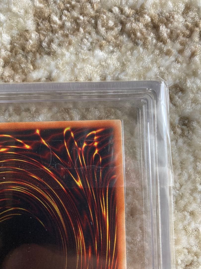 ワッター　8月31日12時迄　ブラッド・ヴォルス ウルパラ　ARS8