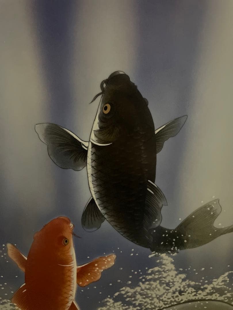 伝統工芸師　中村一代　有田焼　陶版画　錦鯉