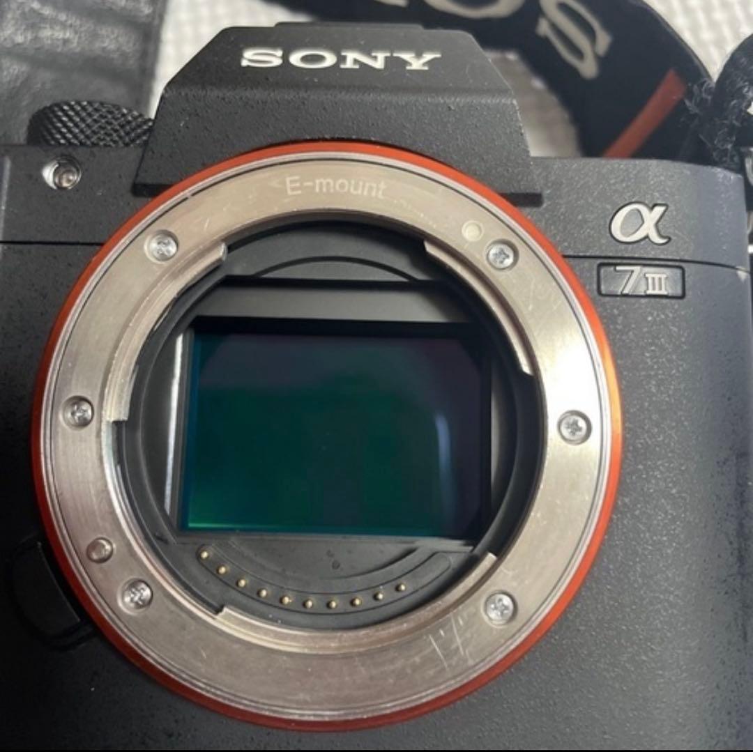 梅SONY α7 III カメラ 本体 【最終価格】