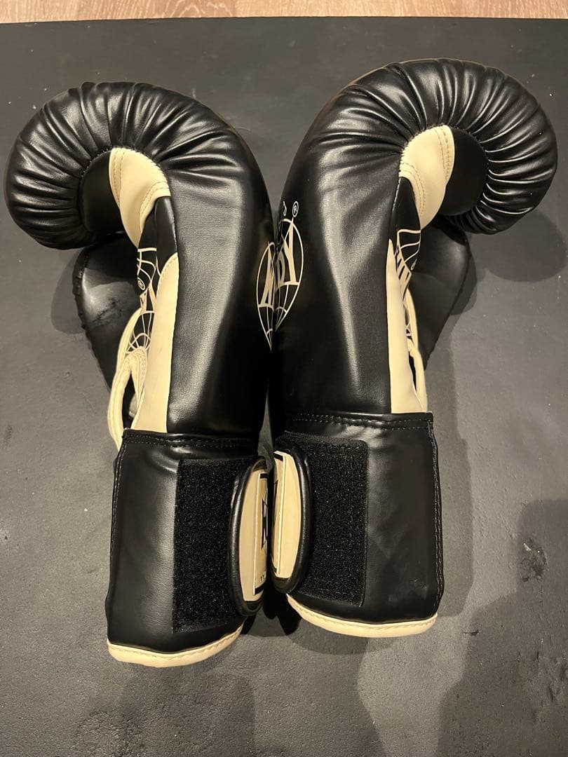 WINDY プロファイトギア & GLOBAL SPORTS グローブセット