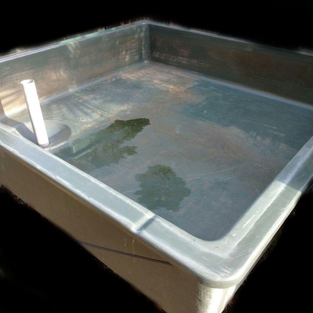 大特価‼️ 最終値下げ‼️ FRP水槽‼️引き取り限定‼️ 紅白約70cm‼️