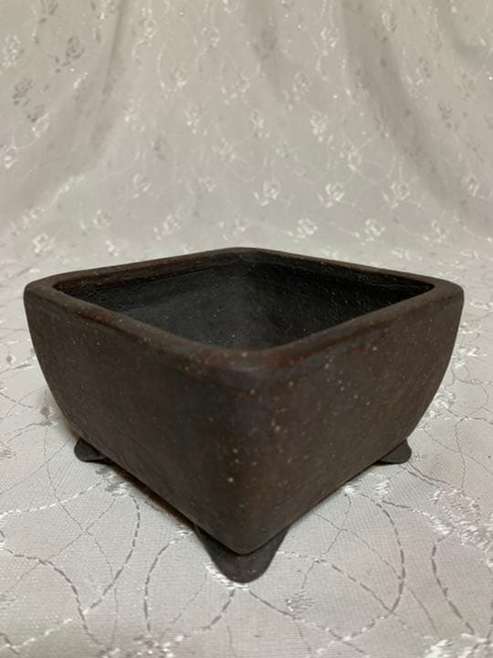 佳山　盆栽鉢　正方