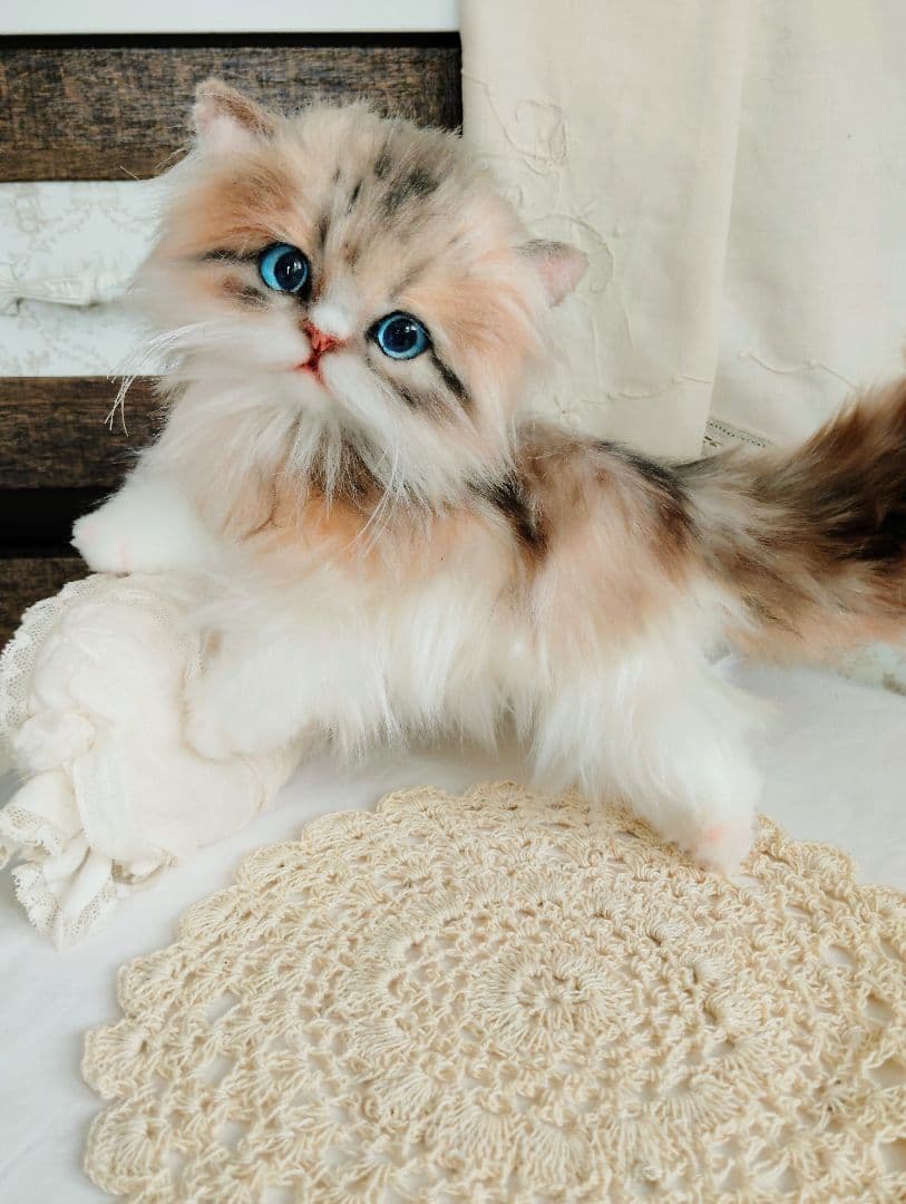 ラピちゃん御予約❤️美人ちゃん❤ブラウンタビーミヌエット子猫ちゃん❤アートドール