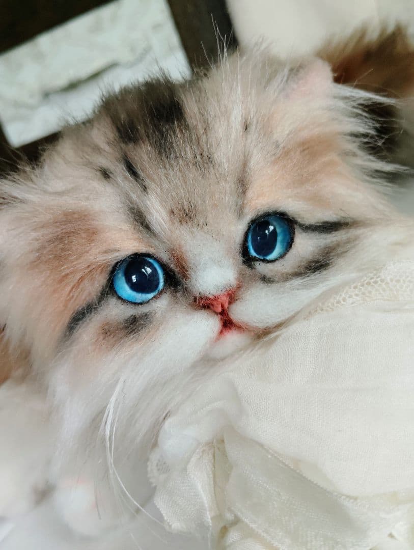 ラピちゃん御予約❤️美人ちゃん❤ブラウンタビーミヌエット子猫ちゃん❤アートドール