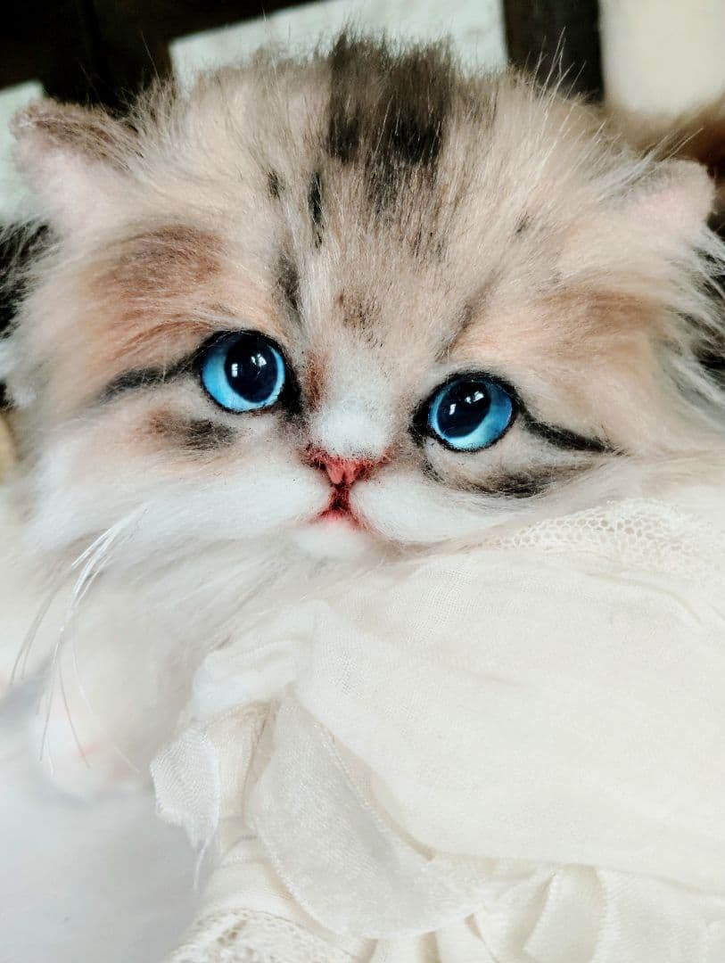 ラピちゃん御予約❤️美人ちゃん❤ブラウンタビーミヌエット子猫ちゃん❤アートドール