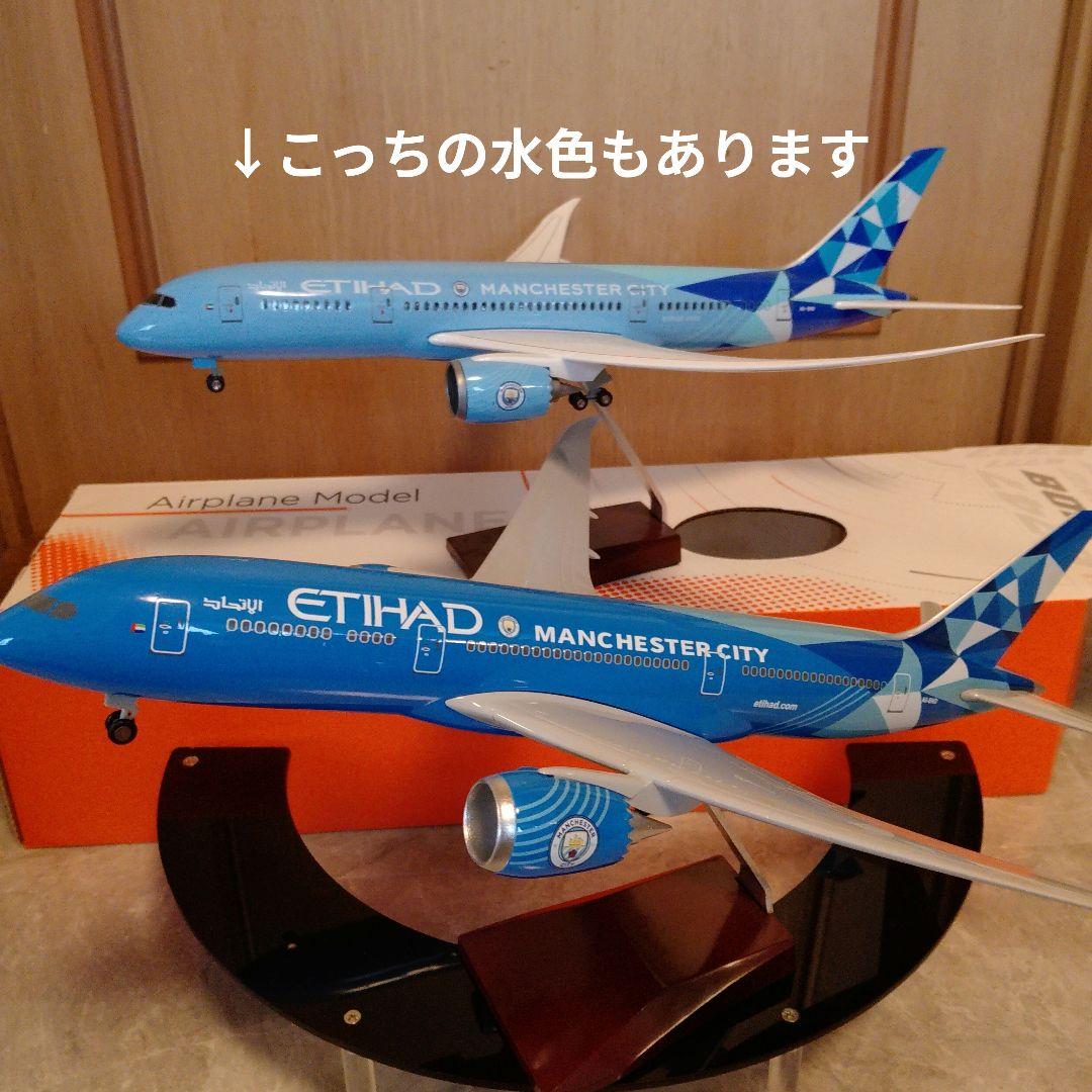 はるぽよさん専用 B787 マンチェスターシティー2