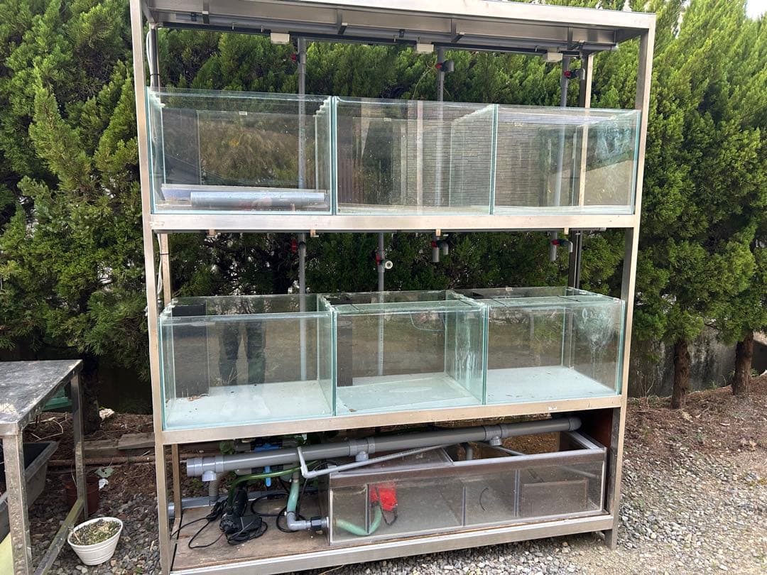 オーバーフロー水槽 多段 ガラス製 ポンプ付き