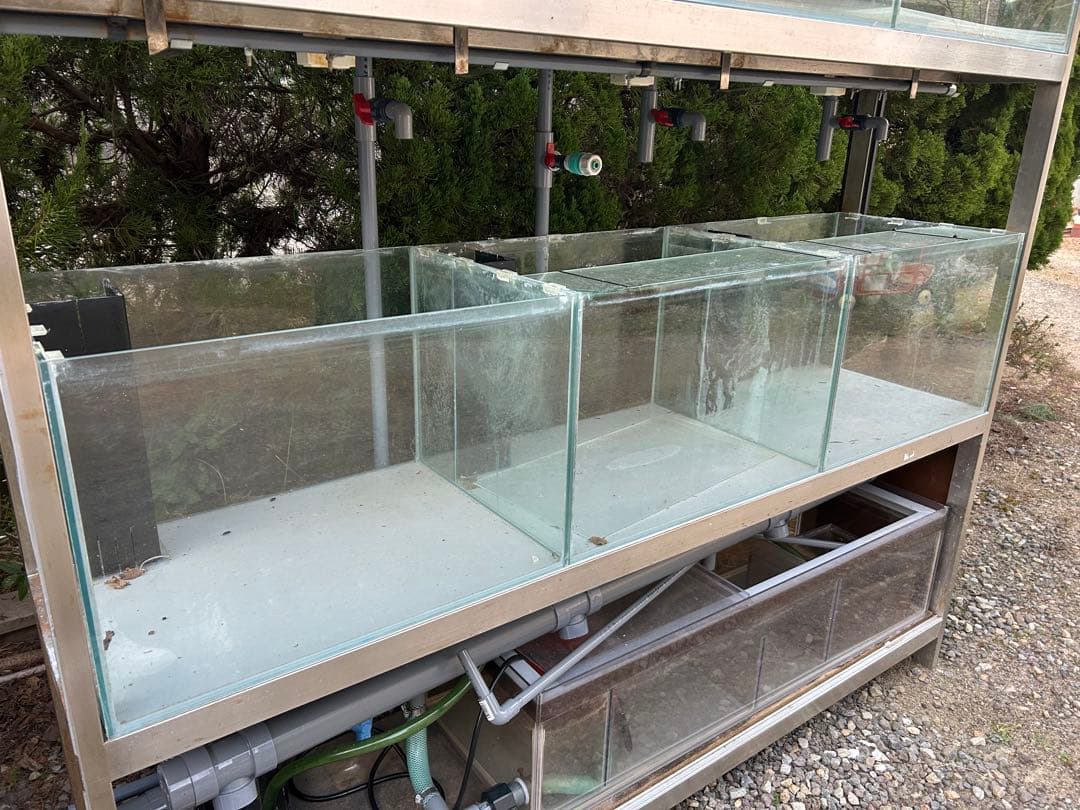 オーバーフロー水槽 多段 ガラス製 ポンプ付き