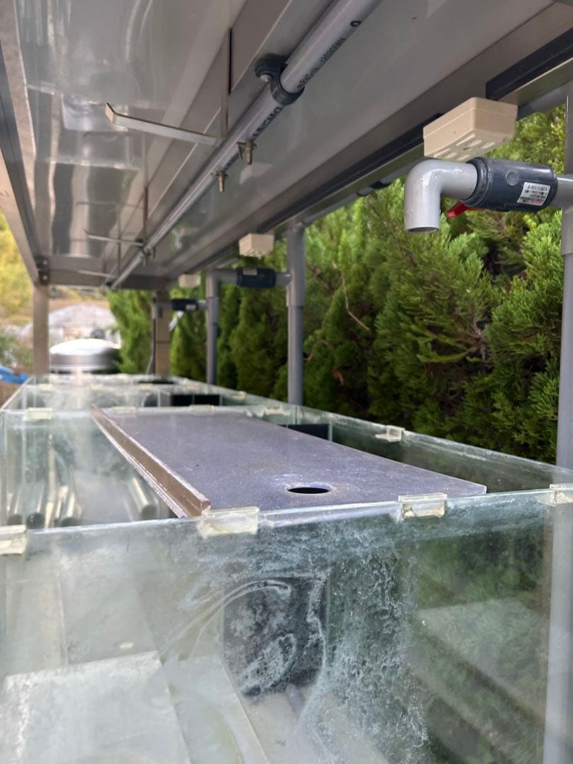 オーバーフロー水槽 多段 ガラス製 ポンプ付き