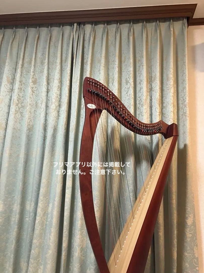 【最終値下げ】美品　レバー　ハープ　salvi サルヴィ 34 調整済み