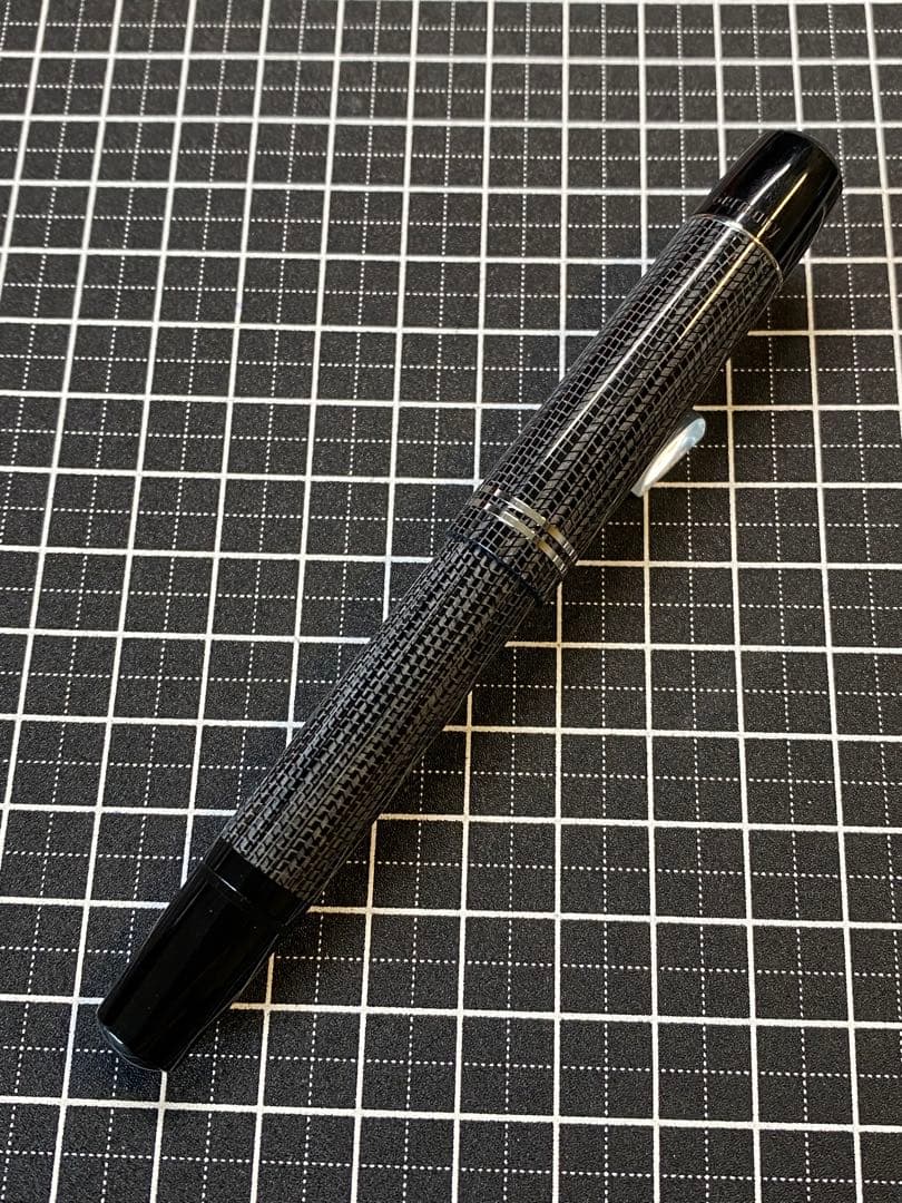 Pelikan M101N Lizard 万年筆　字幅M