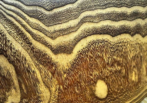 古物出し 古桐制火鉢 古桐木 年代物