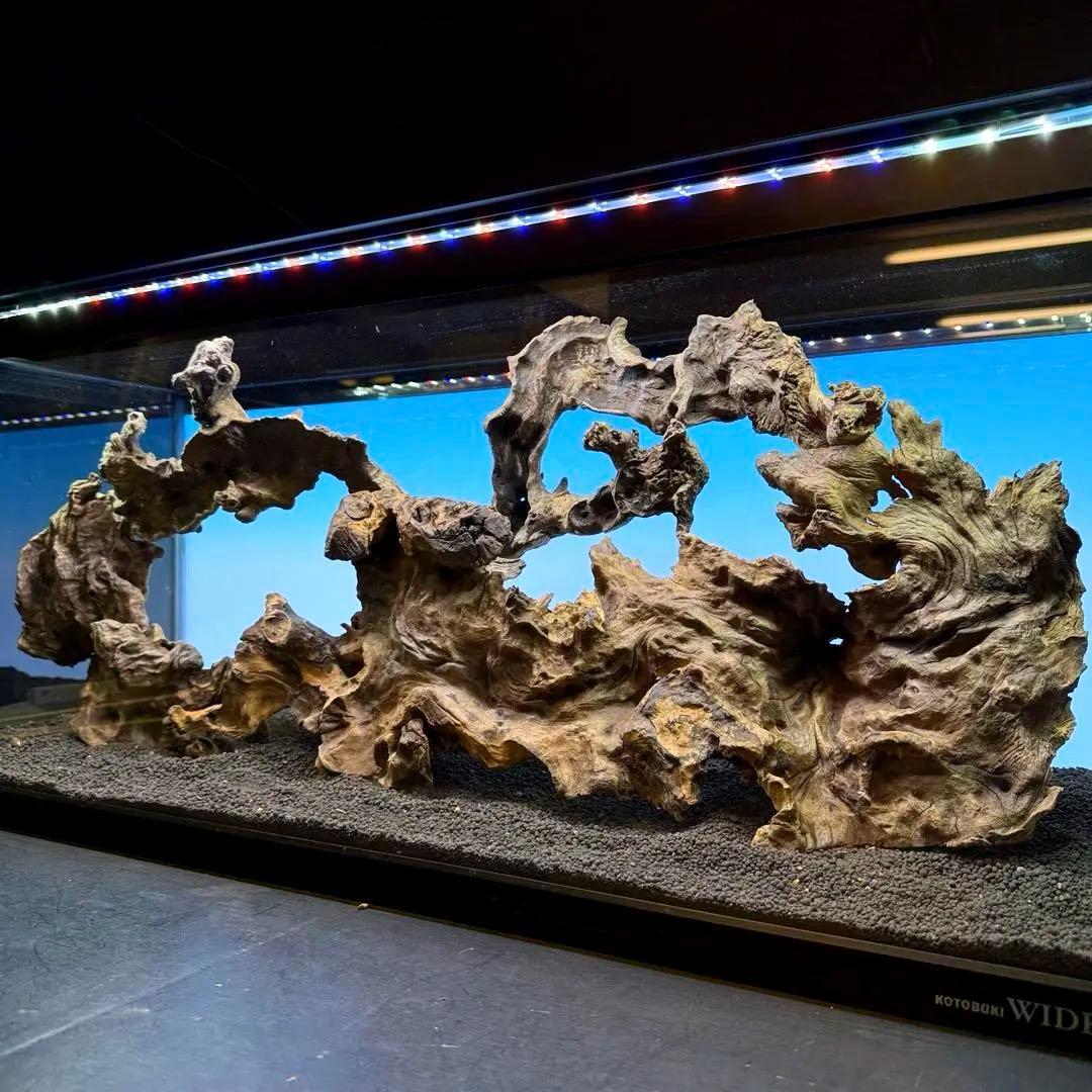 MJW-7214 「特大」ジンジャーウッド　90cm水槽用　天然流木4本セット