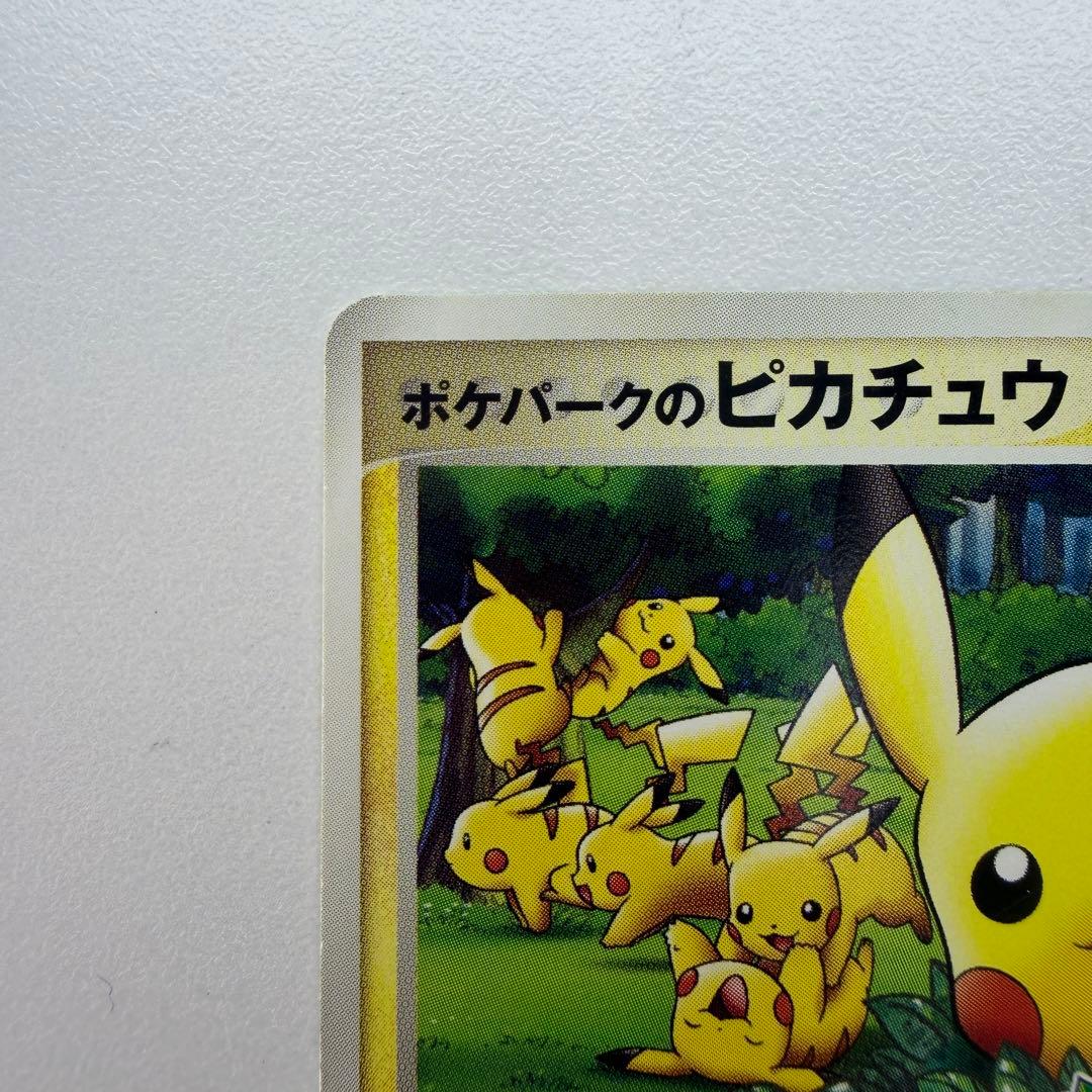 ポケパークのピカチュウ P [PCG-P 043](プロモ48