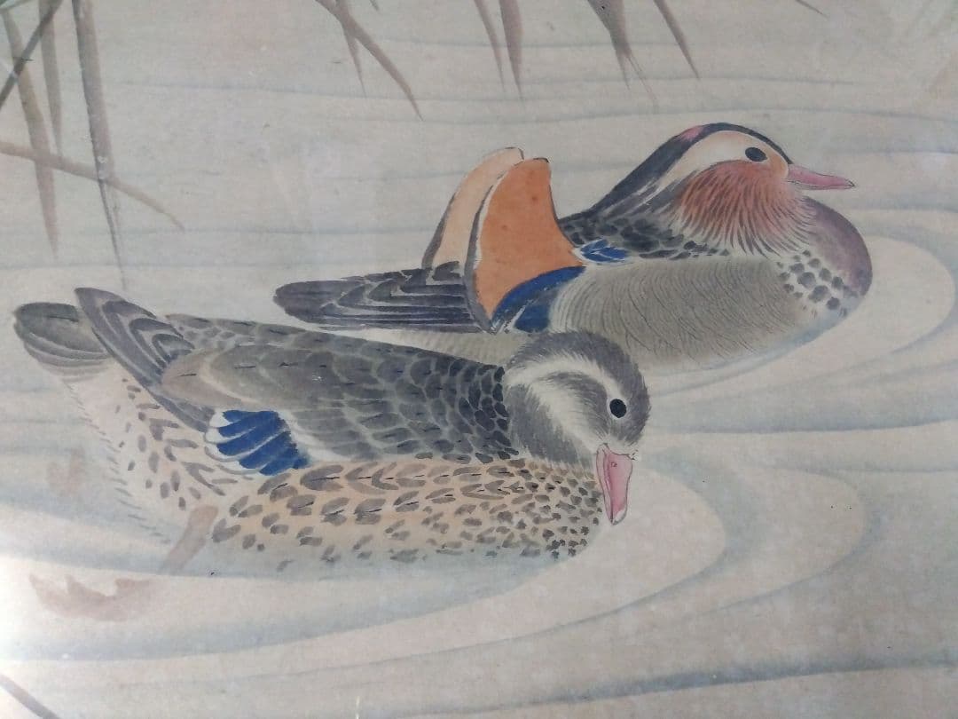 日本画 鴨の絵 黒色フレーム付き