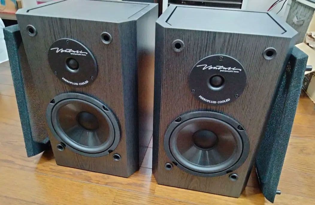 【Pro Cableさんおすすめ】BIC DV62si（中古）