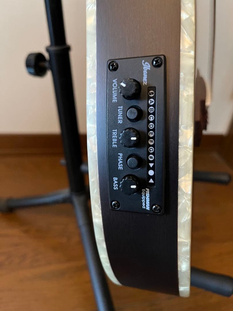 Ibanez TOD10N（Tim Henson シグネチャー / ナイロン）