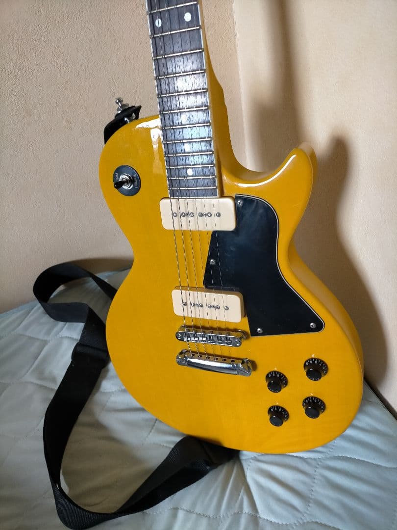 Blitz by AriaProⅡ レスポールスペシャルタイプ