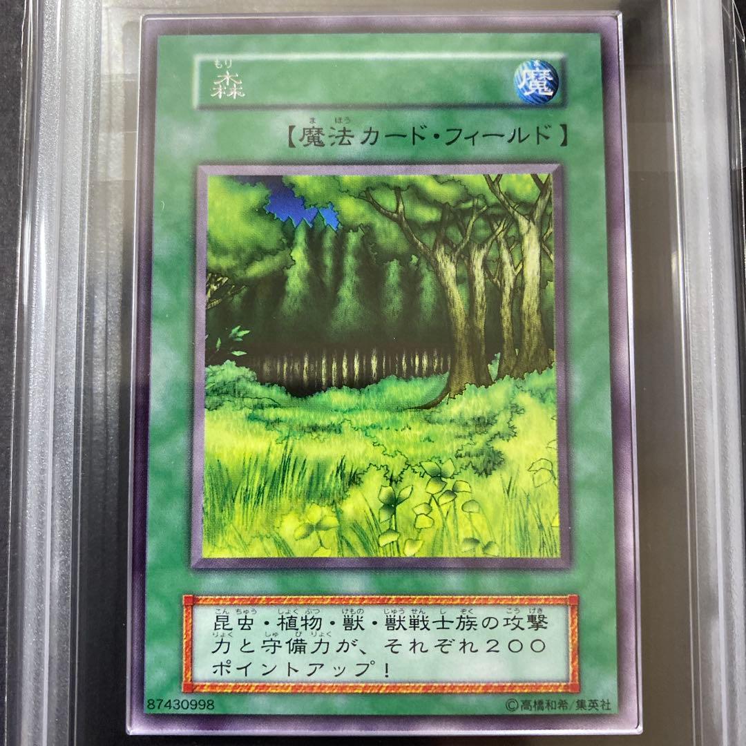 遊戯王　草原　森　初期　ARS10 鑑定書付き　スターターボックス開封品　まとめ