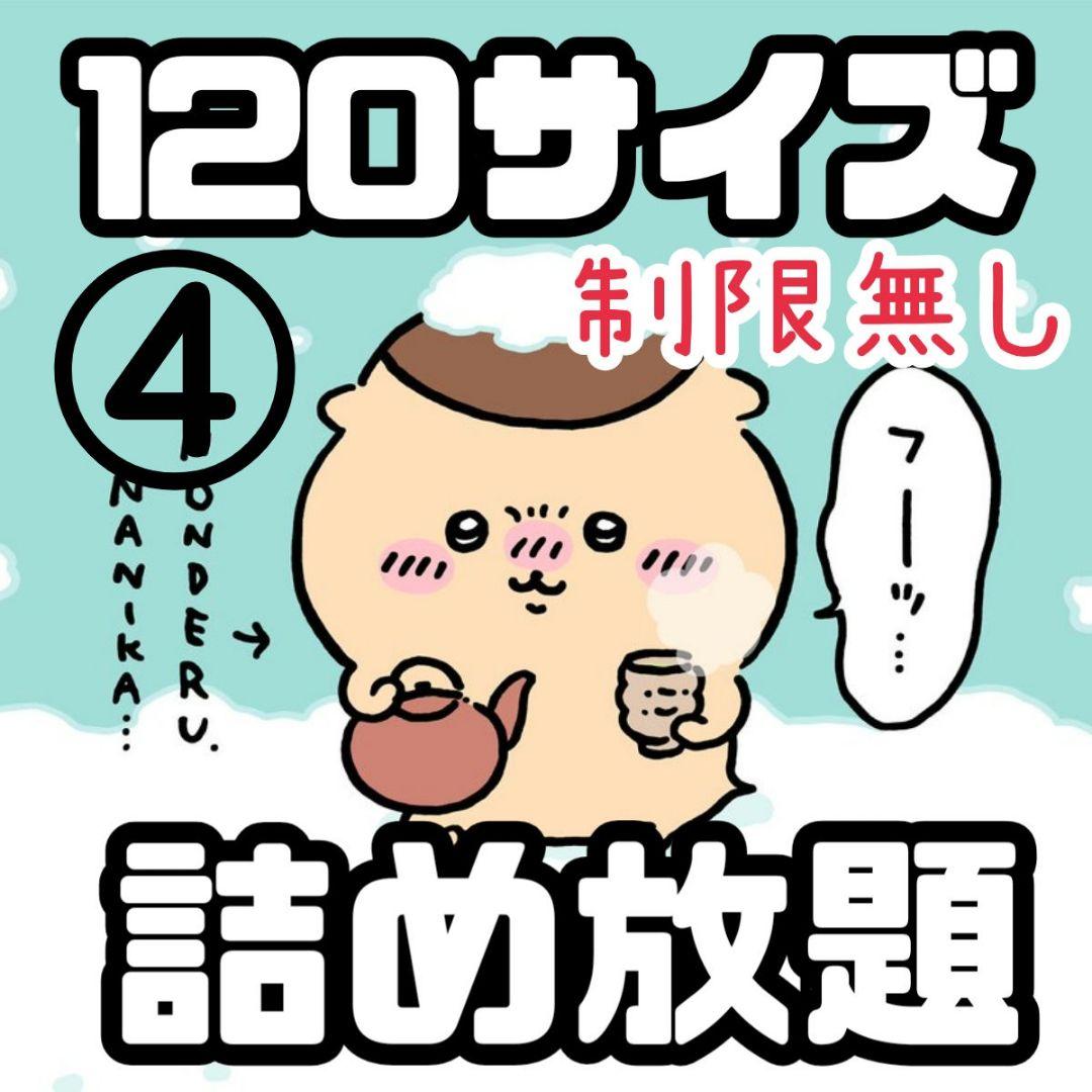 詰め放題　【120サイズ】④