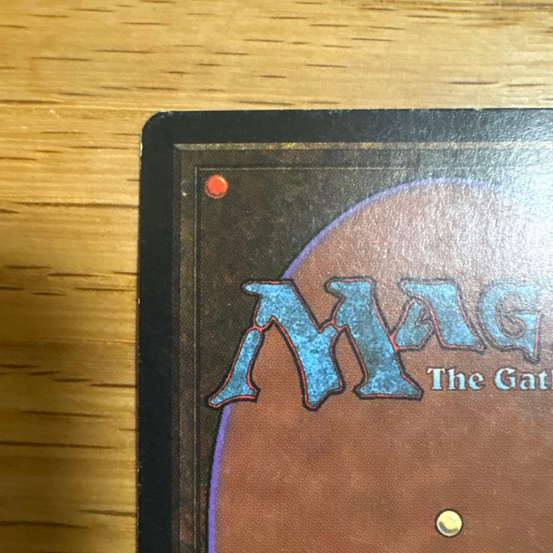 Tropical  トロピカルランド デュアルランド