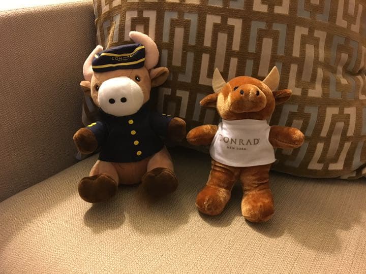 コンラッドベア