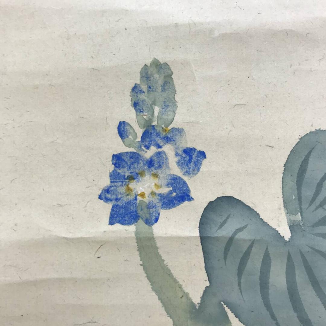 真作/西山翠嶂/葵図/アオイ図/花図/豊かな実り/掛軸☆宝船☆AH-519