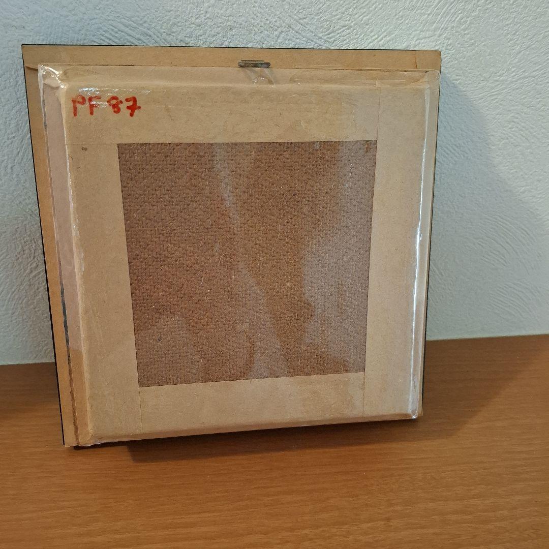 Morpho rhetenor蝶　レテノールモルフォ　標本